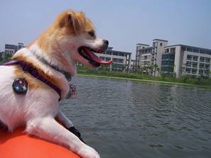 GouGou on boat